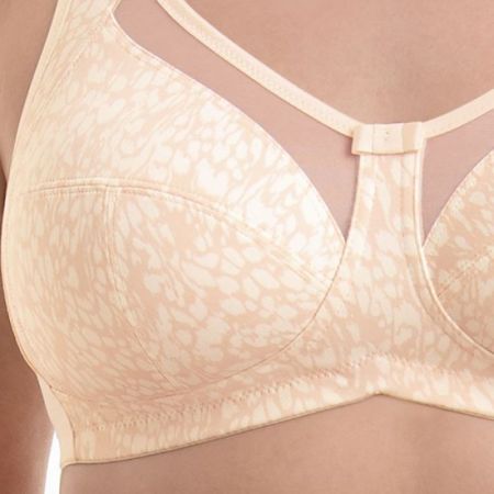 Clara art bh 107 smart rose
